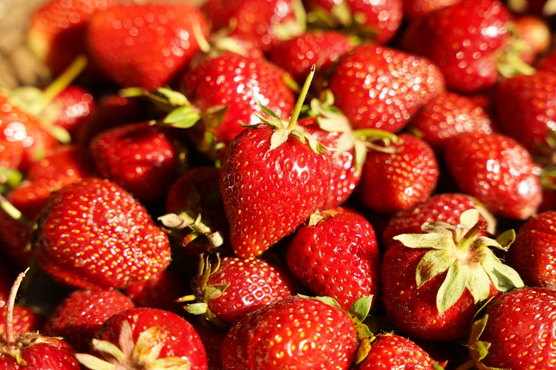 Close-up strawberries arranged in warm sunlight